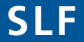 Schwartz Levitsky Feldman Inc.